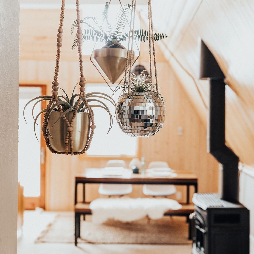 Hanging planters shine in the morning light