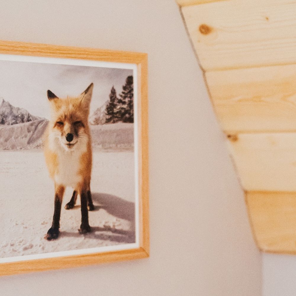 Our favorite wintry fox!