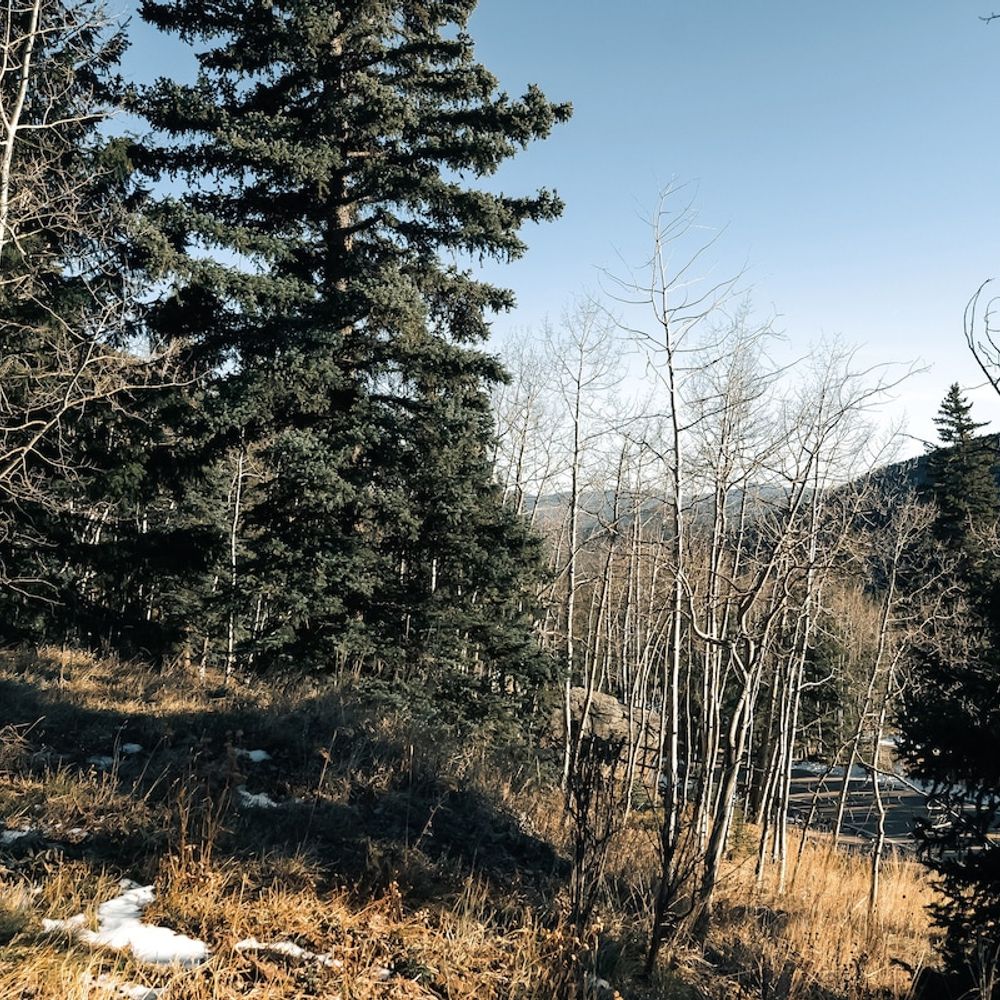 Great views from the cabin!