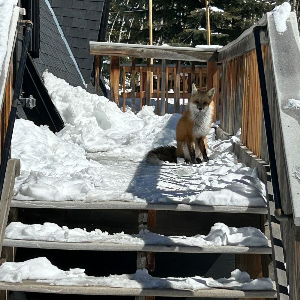 Wildlife awaits you at your door step