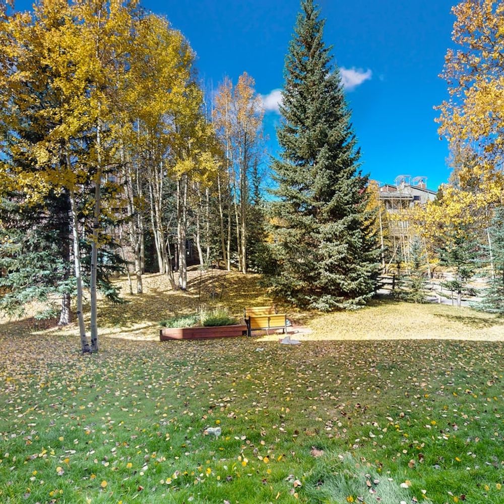 View from back patio