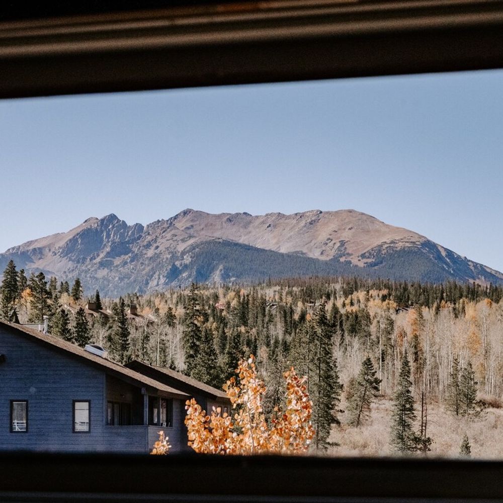 View from 2nd level bedroom window