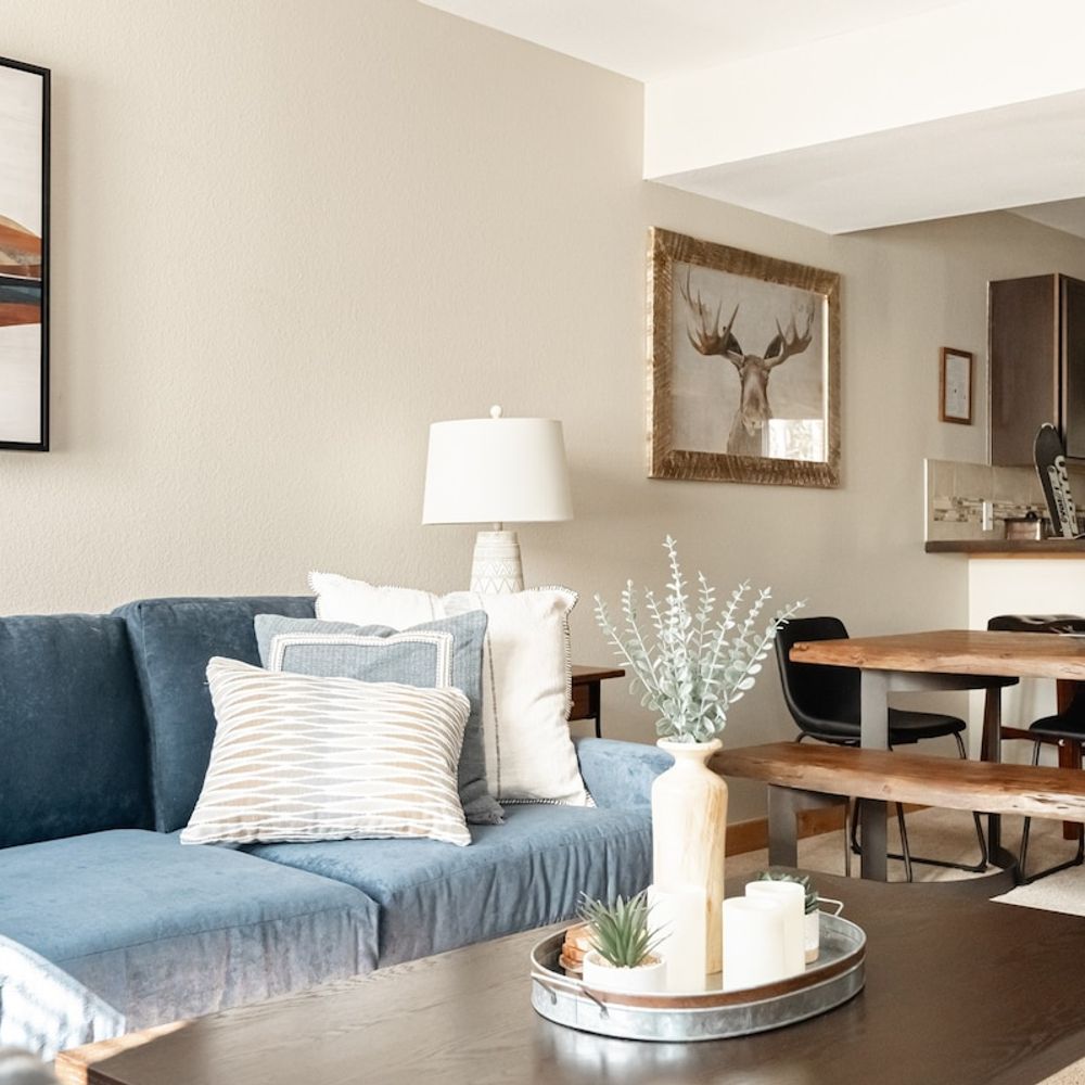 Living and dining areas