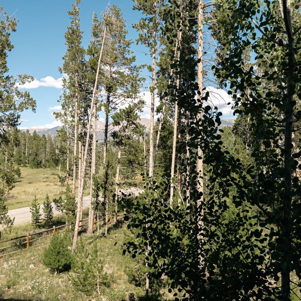 Neighborhood view