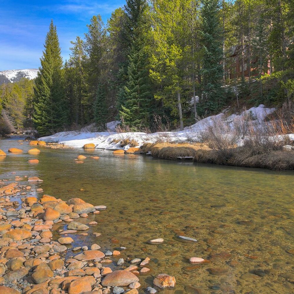 Nearby creek