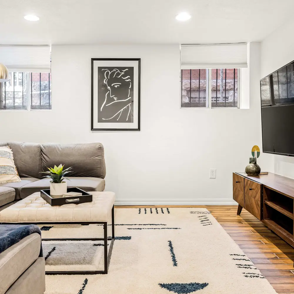 Basement living room