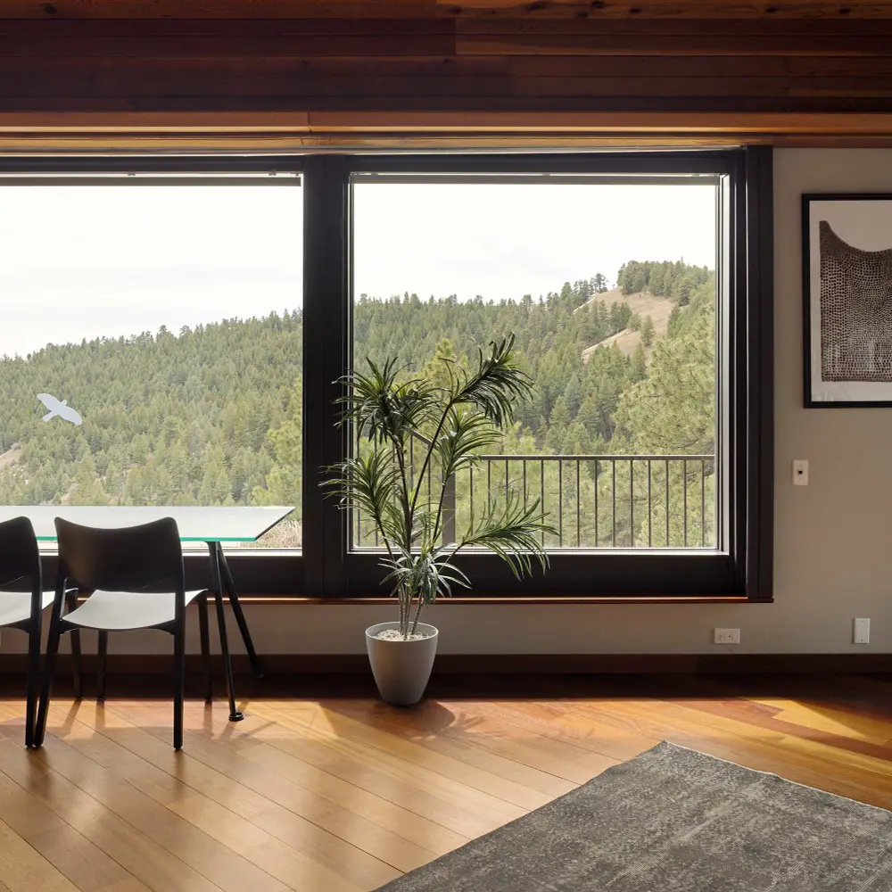 Gorgeous views from the living area