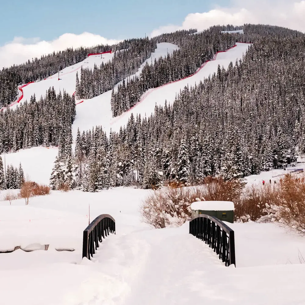Pathway leading to the ski lift