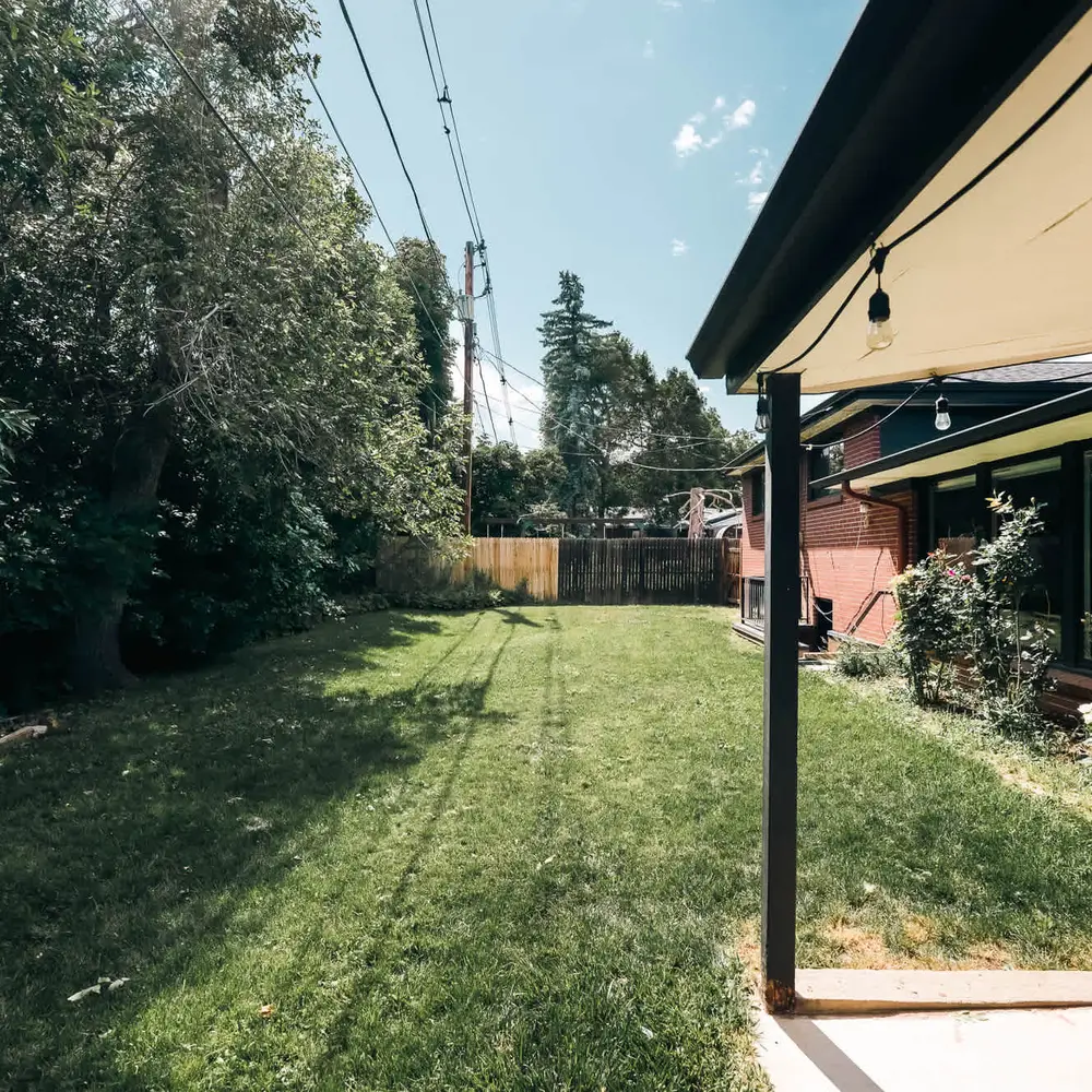 Backyard
