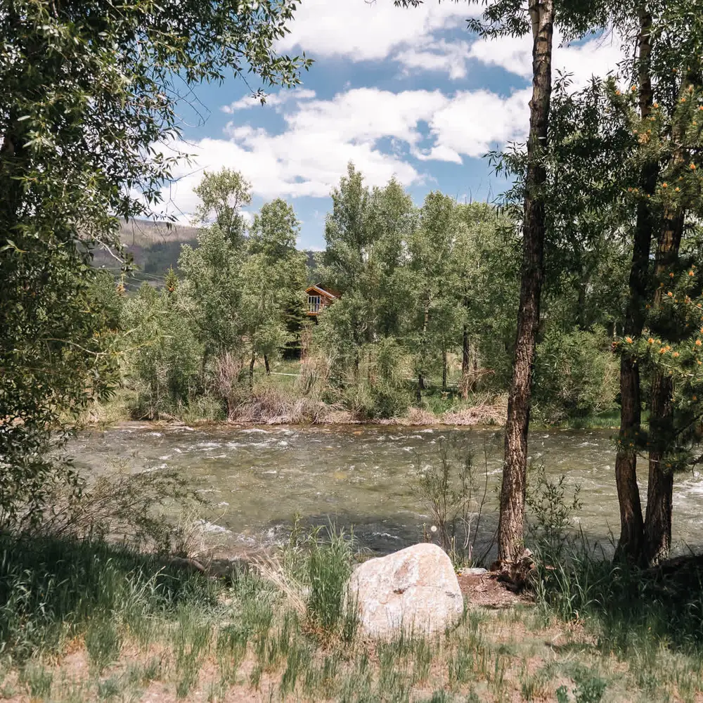Blue River behind the unit