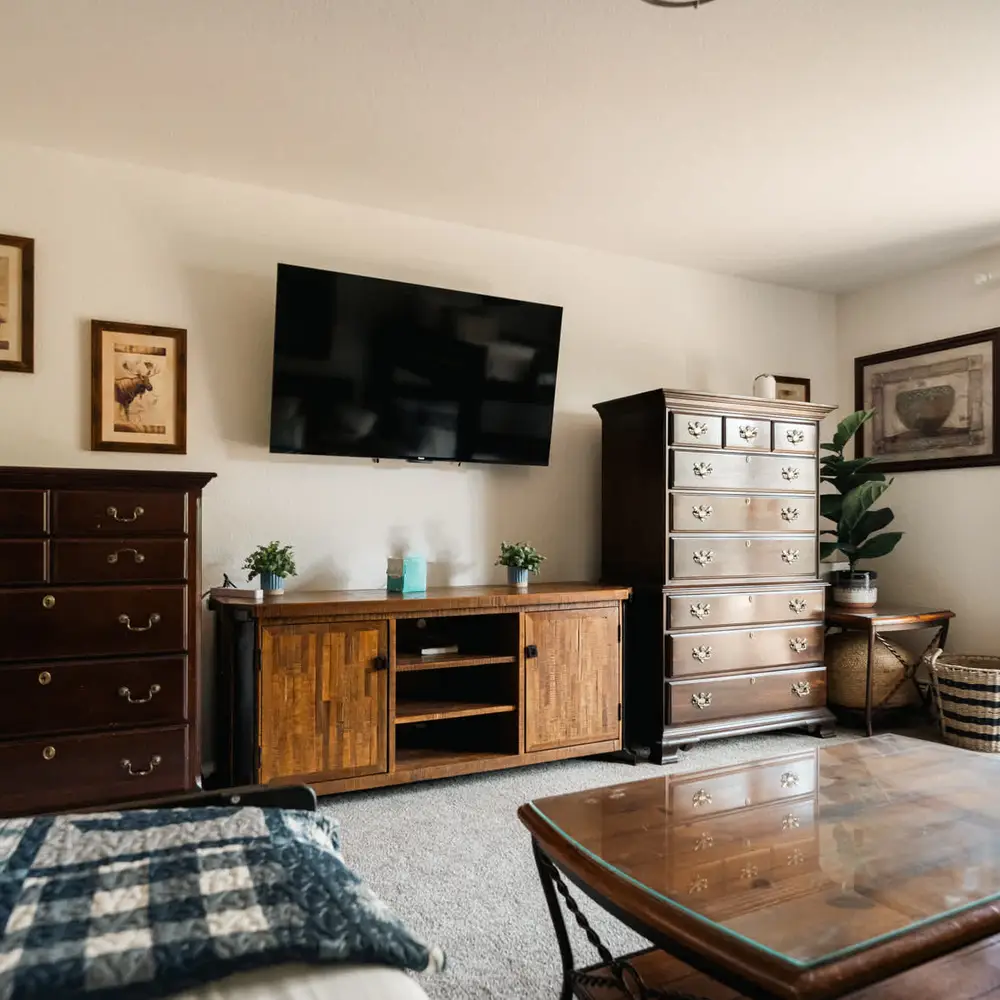 Bunk room with smart TV