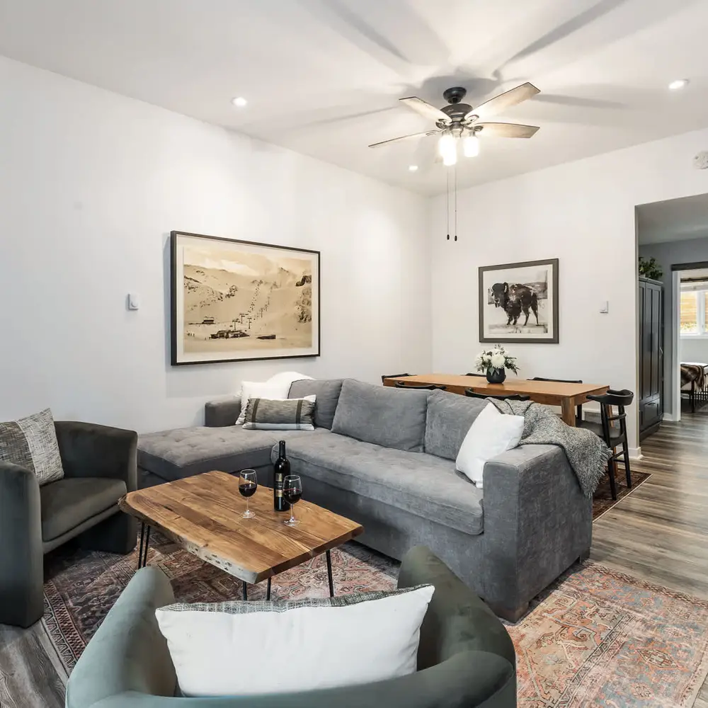 Living area with full-size sleeper sofa and dining area