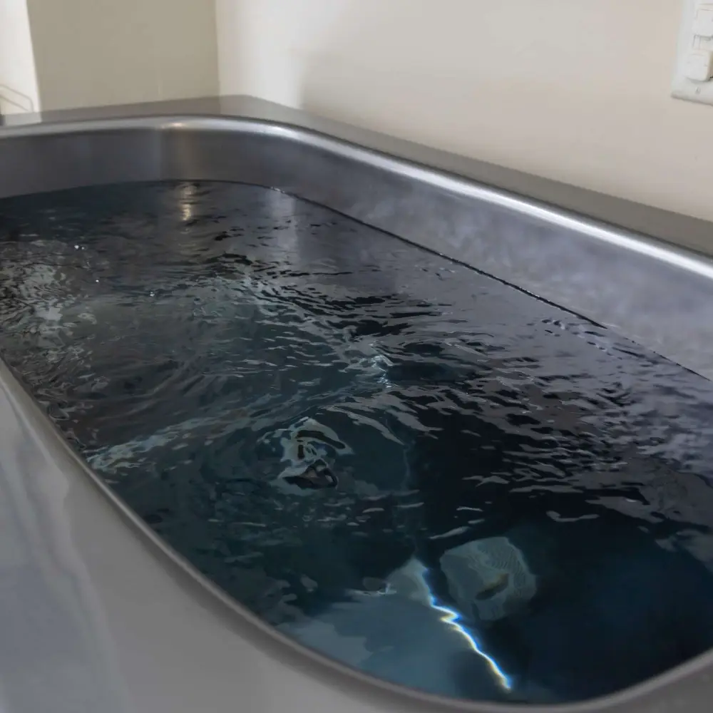 Cold plunge tank