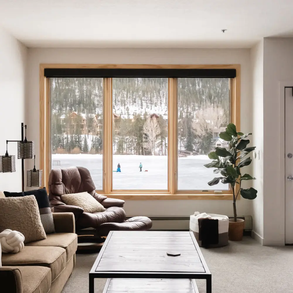 Living room with sleeper sofa