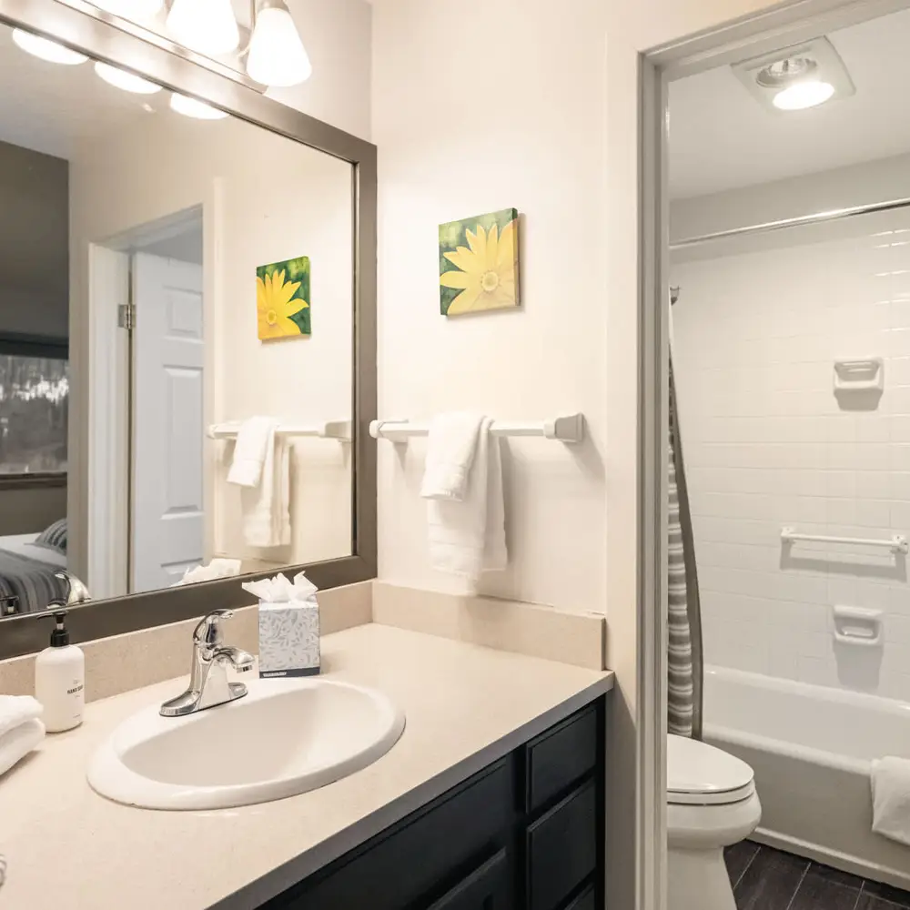 Full bathroom 1