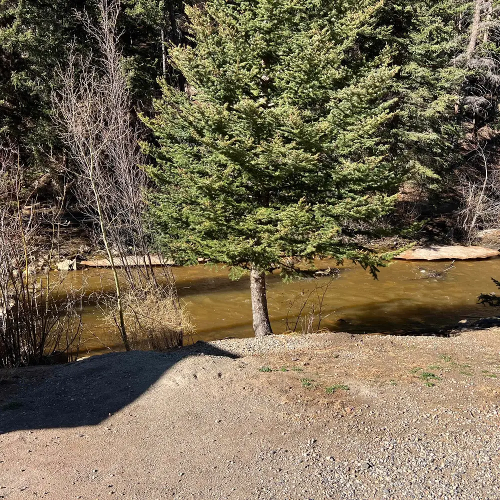 Creekside view