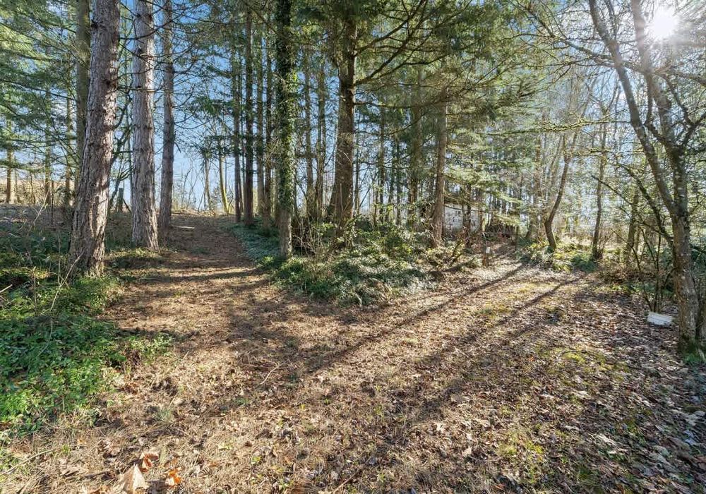 Hiking trails on the property are built for exploring!