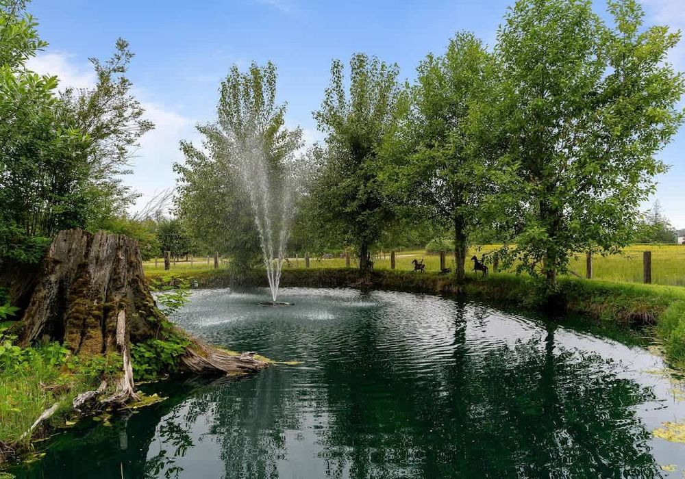 The pond on the property is just at the end of the driveway.
