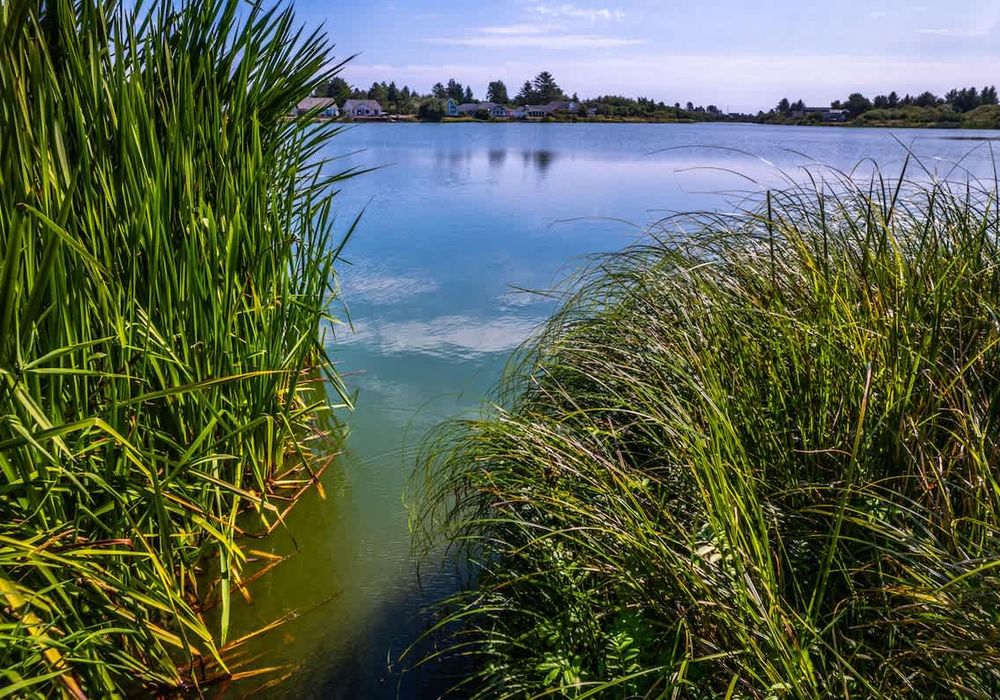 12c77e05 24a9 42 z ZyN homerunner