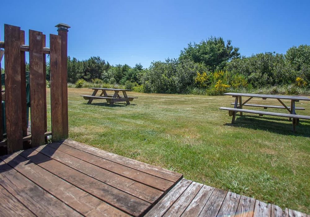 48aa8647 d02a 41 D1YdQ homerunner