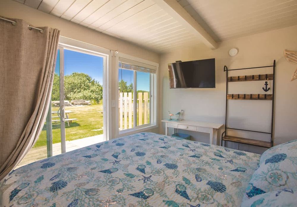 c296c603 1d1a 43 9Arax homerunner