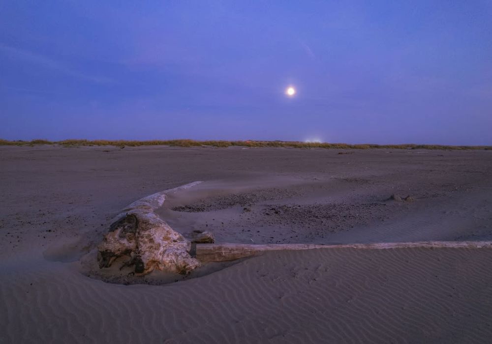 e2a252e1 b908 4f J4S g homerunner