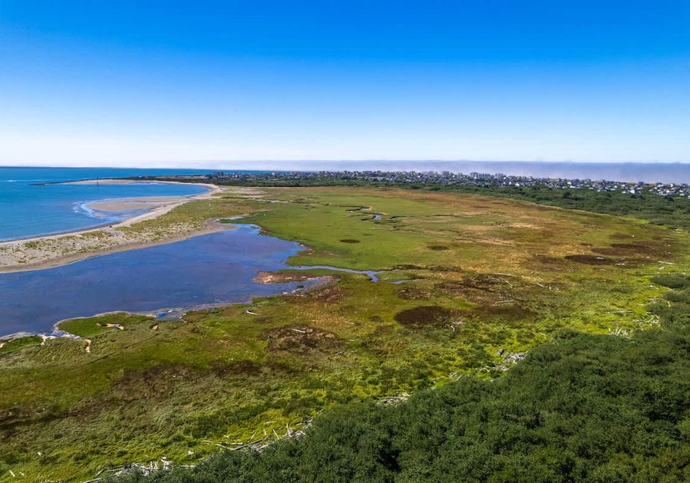 19dc3752 f76d 48 KsnqD homerunner