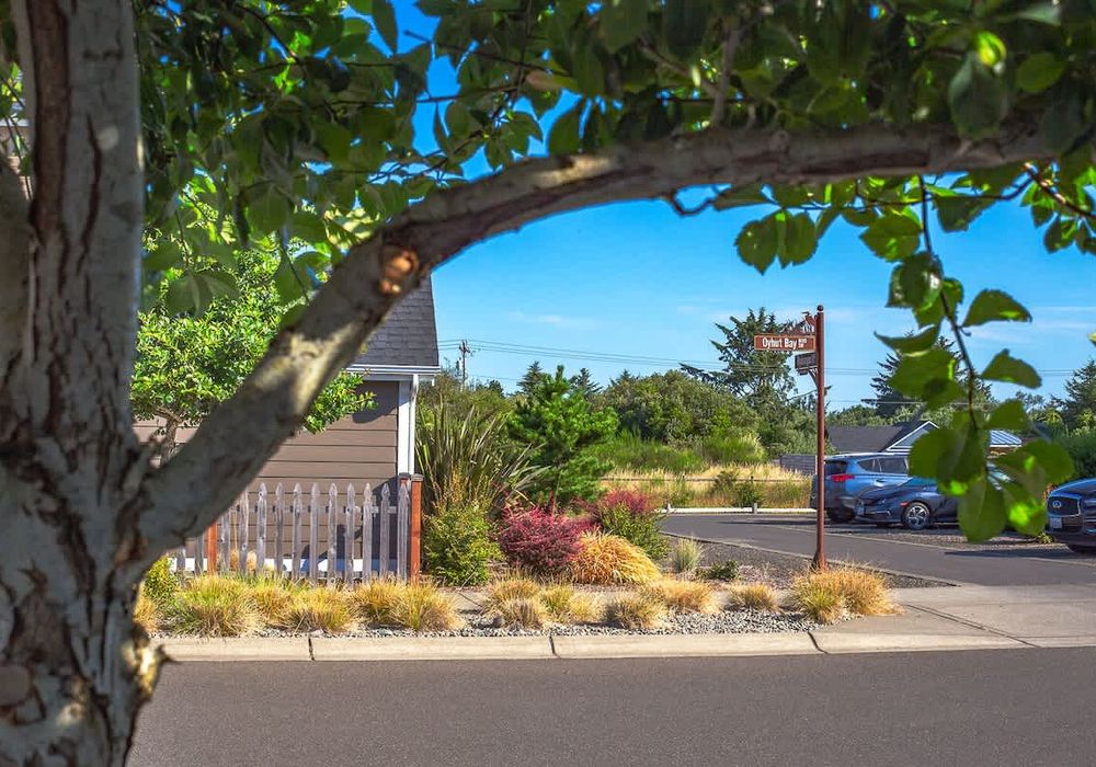 1ccc1a22 9d4c 41 yifJV homerunner