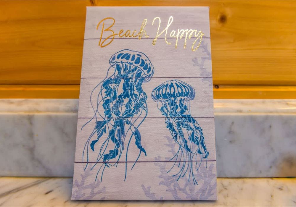 5b43fe2b 35f7 4c xDa1v homerunner