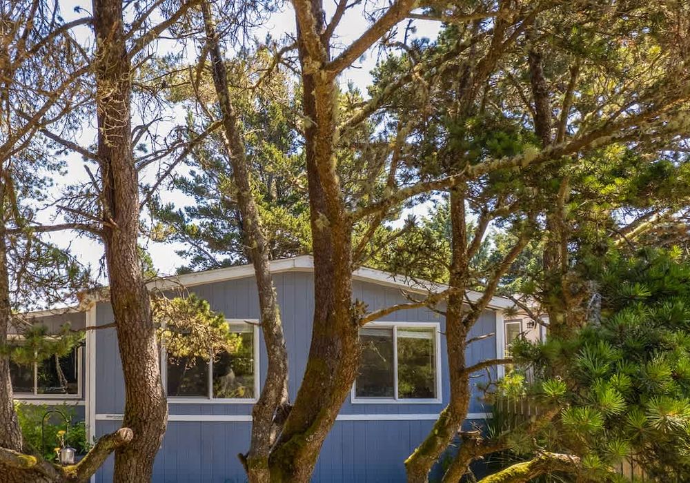 c8ae9f7b 2169 49 WHN3u homerunner