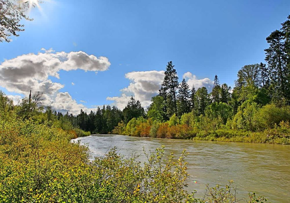 b603f55b 4577 44 h6Rgj homerunner