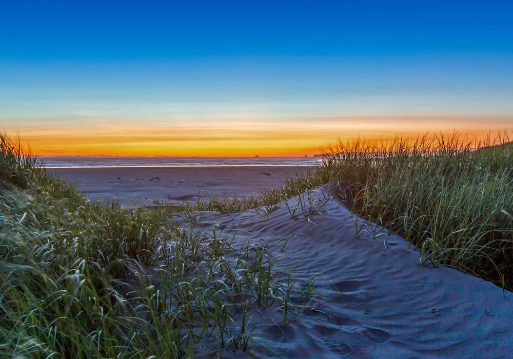 2c18ff97 8b93 48 1o3O2 homerunner