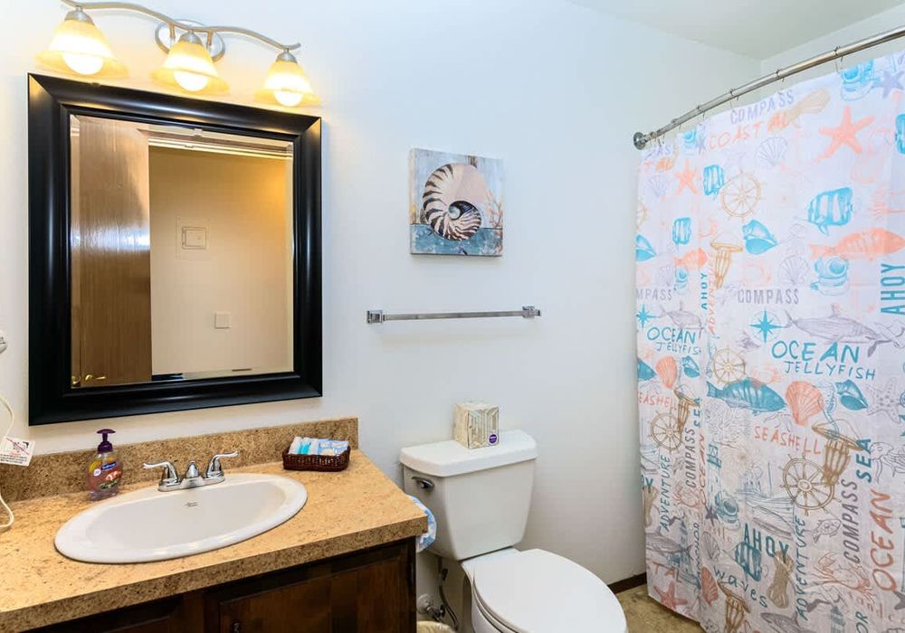 b7996217 2d24 4b YnoI1 homerunner