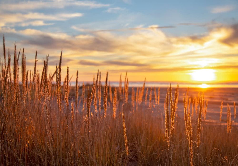 ca2f73b2 f08c 4c Gc8un homerunner