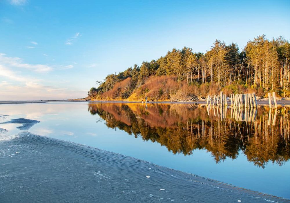 cf94f769 8ea7 43 9h0wa homerunner