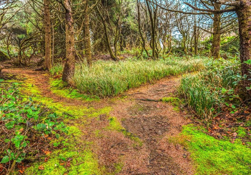 f08cbaab 76a7 46 Zo9et homerunner