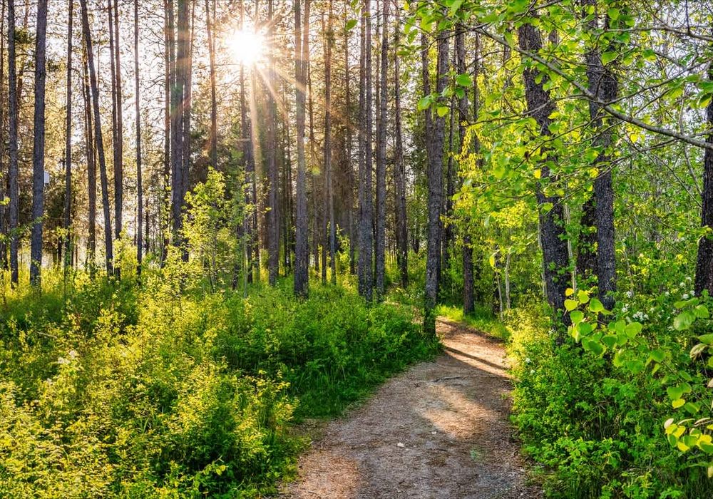 0c044573 3566 48 28 0u homerunner