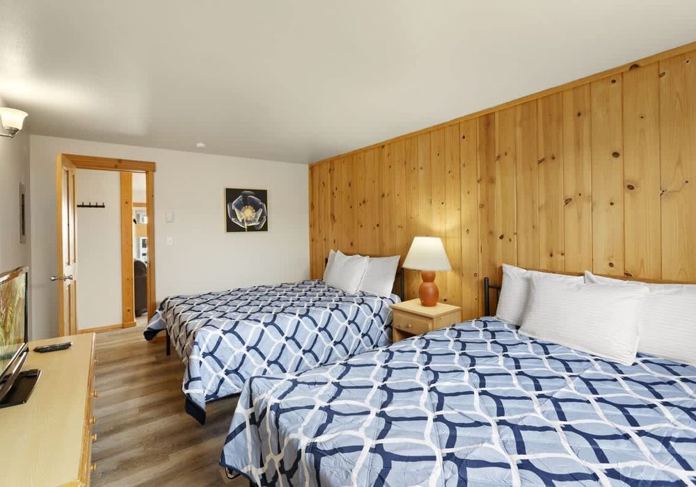 aca28256 b9cc 49 uaF5r homerunner