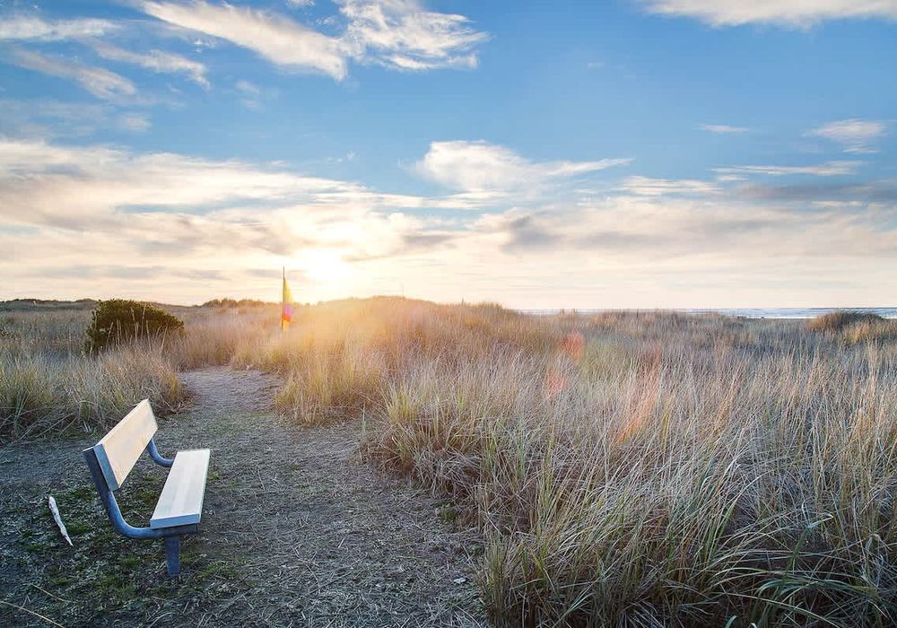 db25682c 60ba 43 g8rXZ homerunner