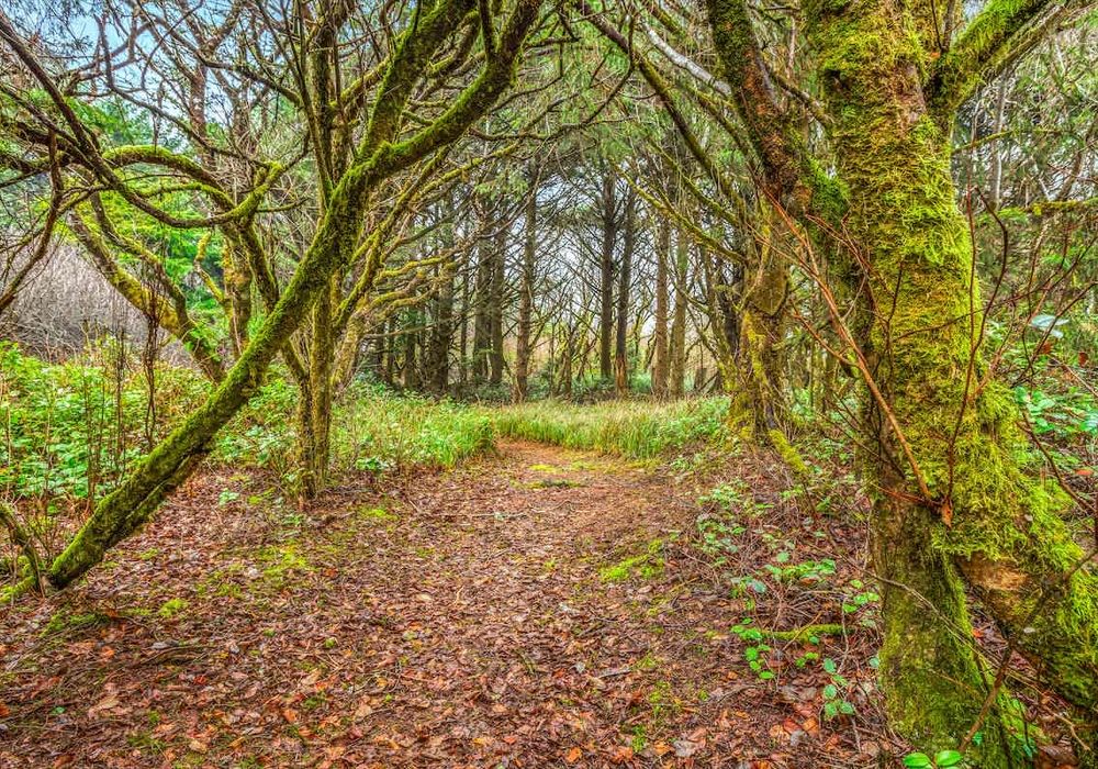 e8cd6407 3713 43 QdxfH homerunner