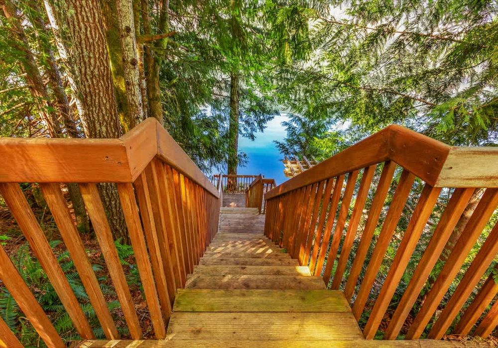 8bc96b82 ae0f 4d RVKT1 homerunner