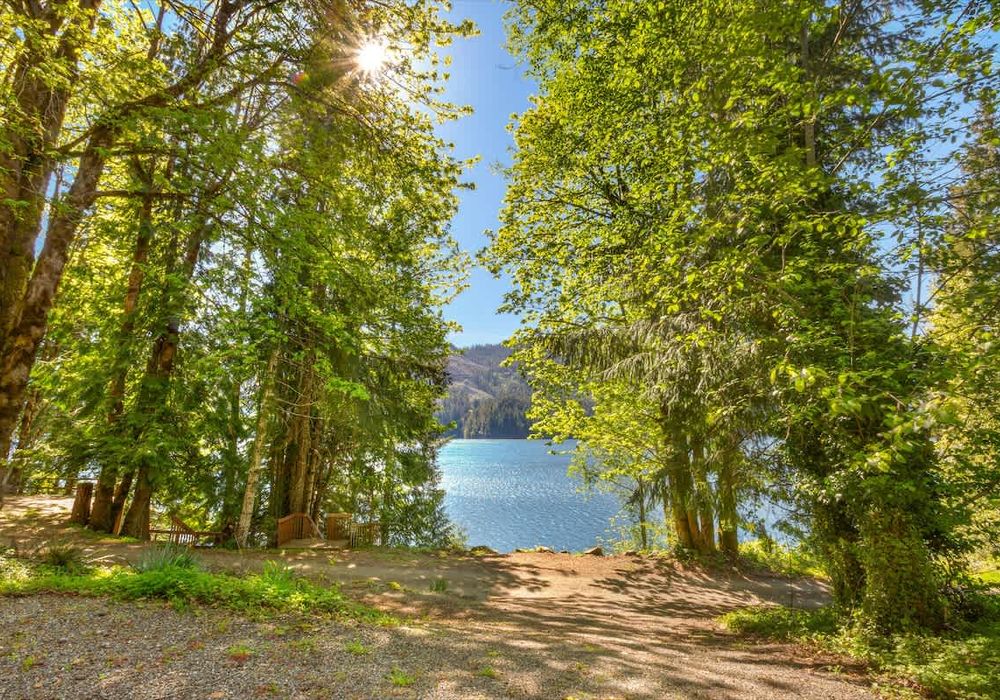 f0a2c977 24d4 43 jQBdL homerunner