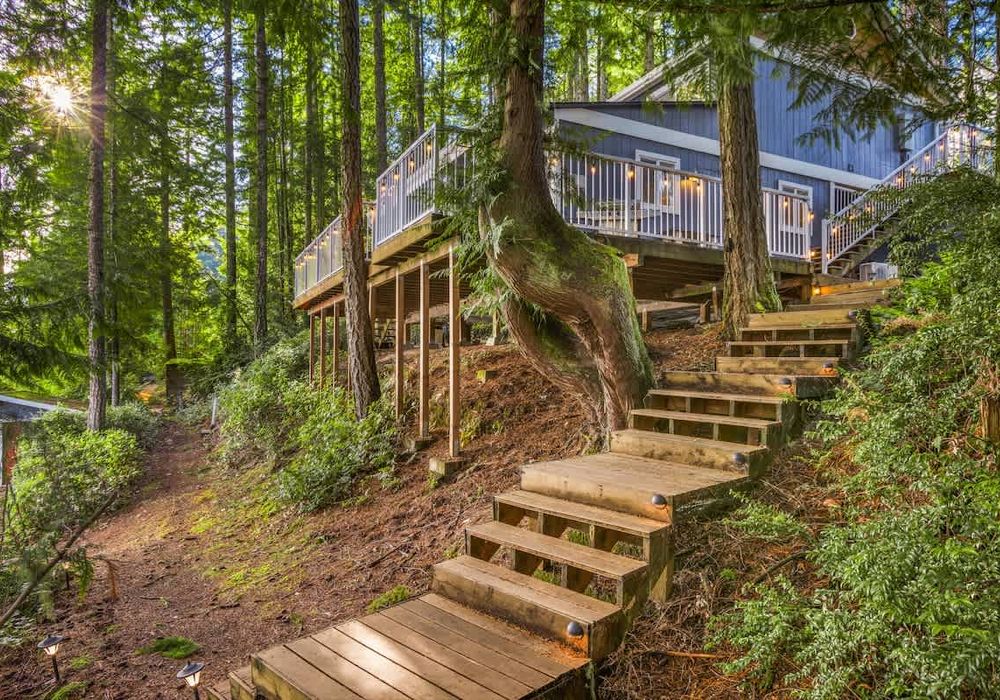 0a0c70d0 b21f 4d e3Bug homerunner