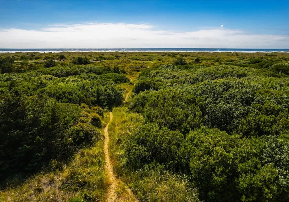 3a81823c dcfc 46 w PH homerunner