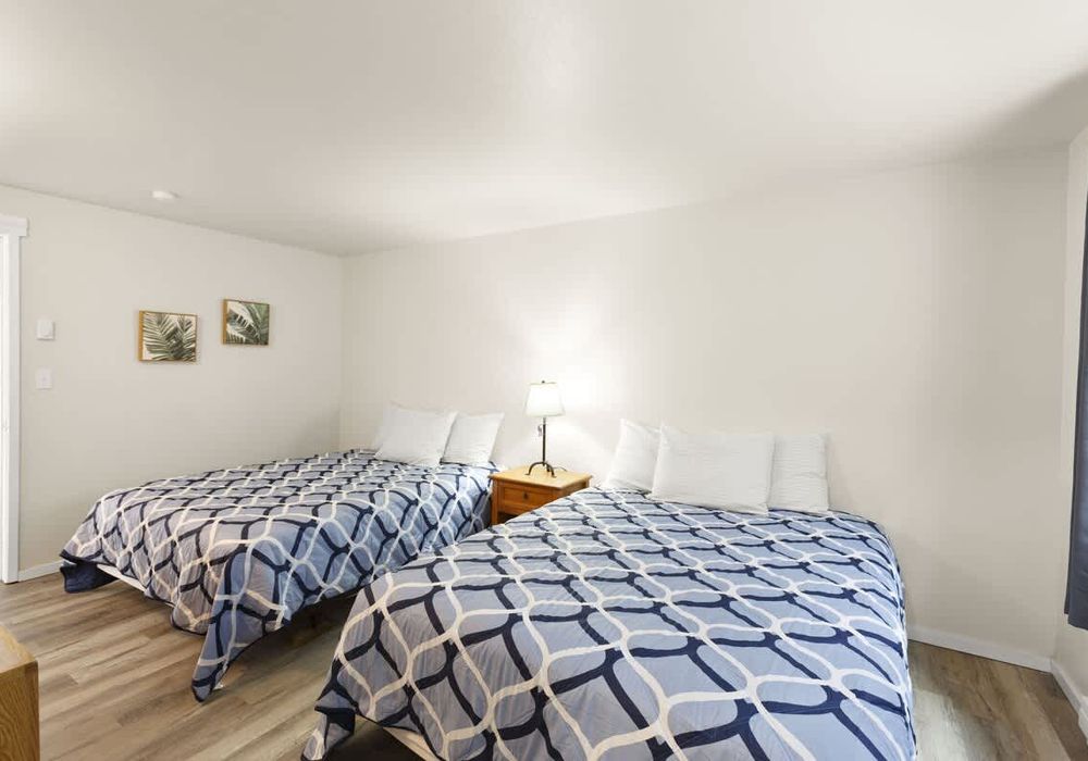 1cea268b df75 40 l5G8U homerunner