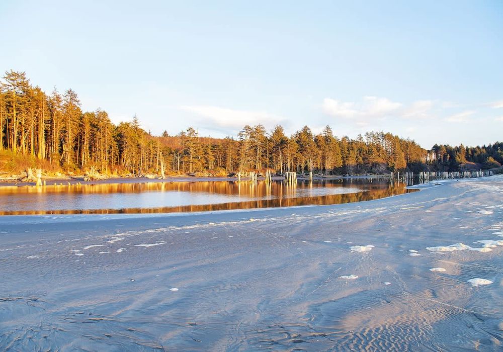 7b6550a8 9b7c 44 Wph p homerunner