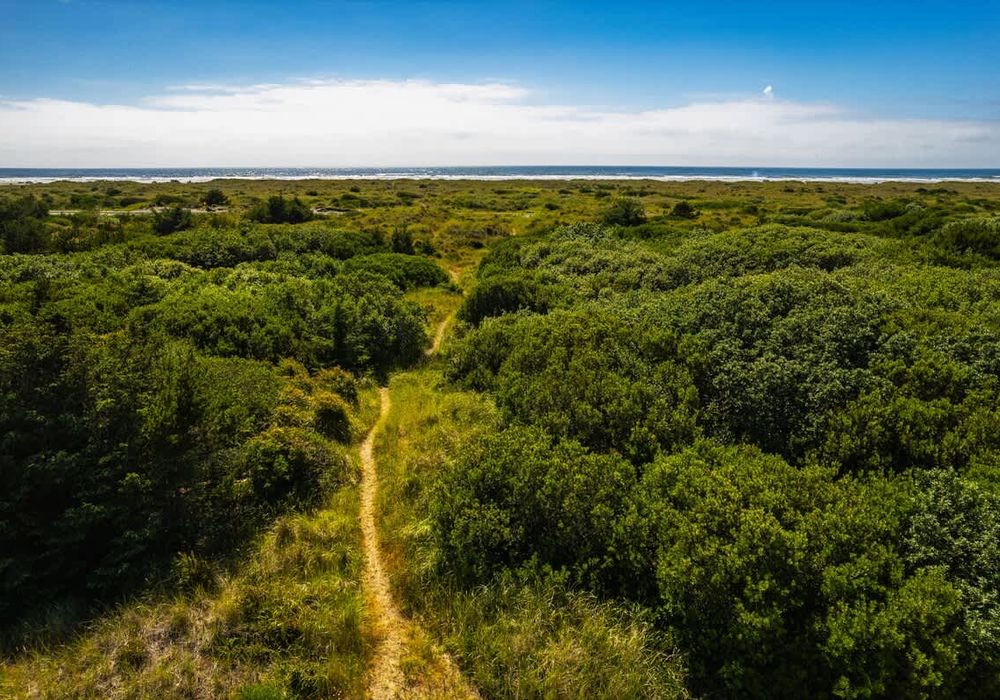 429c3dfd b67a 41 tztC0 homerunner