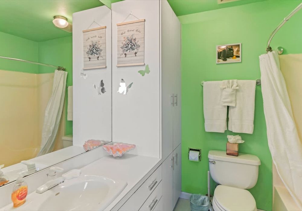 e56552f9 243f 47 ODTDF homerunner