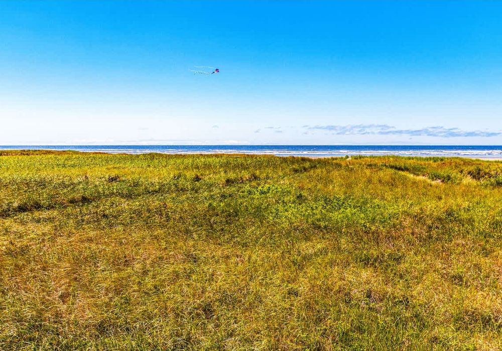 a63e4e55 1484 4c gIlad homerunner