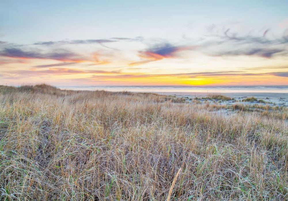 ad0d784a ee0c 40 6gYHu homerunner